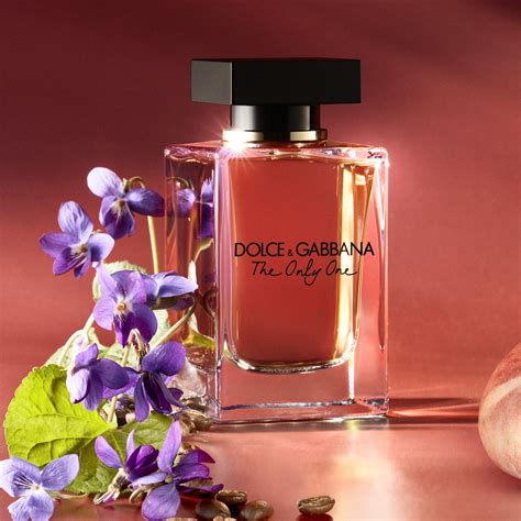 dolce gabbana the one deutschland|dolce gabbana the one notes.